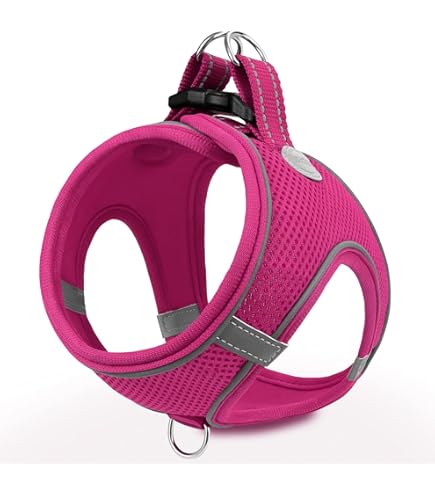 Flamingo Step&Go Bento Hondentuig Kaki XS A:28 30cm B:30 32cm X 3mm Verstelbaar Met Reflecterende Strepen Ideaal Voor Pomeriaan Yorkshire Vlinderhond Terrier Toy 2145640673