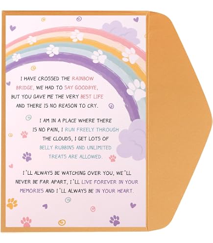 Cat Pet Sympathy Condolences Sorry Loss Rainbow Bridge Paw Prints Blank Card