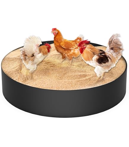 Hühnerstall-Schild „Aera Patrolled By Crazy Chicken Lady“ – 30,5x20,3 Cm, Aluminium, Wetterfest