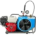 TUXING 4500Psi High Pressure Air Compressor,Pcp Air Compressor,100L/min,220V/50HZ Single Phase,Pcp Compressor Air Fill Station & Charging System for Scuba Tank Pcp Rifle Filling