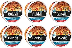 BOLDAIR Lot de 6 Pots 300g Gel destructeur d'odeurs bois ambré