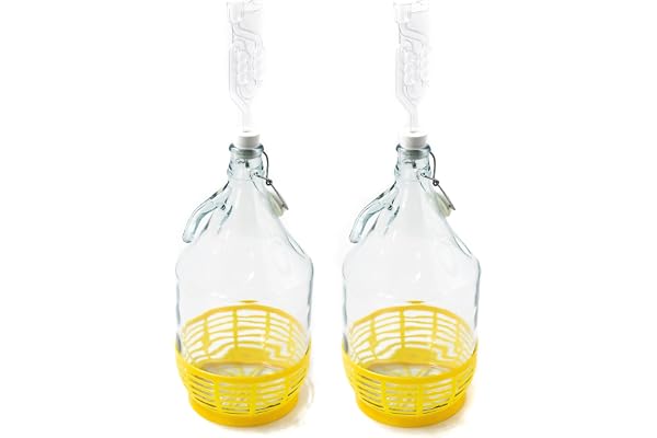 WYSKONT Lot de 2 Bouteilles de Fermentation de 5 l + Bouchon + Tubes de Fermentation pour Ballon de vin