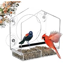 Fenster-Vogelfutterhaus – Transparent, 15x15x6 Cm, Mit Saugnapf, Für Wildvögel