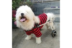 Cora Pet Wagen Hunderollstuhl Rollstuhl Dog Wheelchair für Hunde Katze Hase, Hinterbein/Hintere Füße, Rollwagen Gehhilfe Hundegehilfe Hunderollwagen, Haustier von 2~44 lb