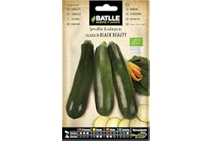Semillas Batlle Calabacín Black Beauty - ECO