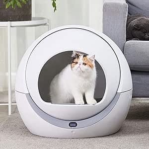 mechanical cat litter box
