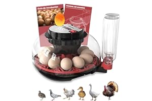 Arcanix Incubadora de Huevos de Gallina Automática 12 a 16 Huevos Incubadora Huevos Gallina con Volteo Automático Control de Temperatura y Humedad Termómetro Chocadeira Ovos Automática para Aves