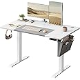 VASAGLE Electric Standing Desk, Height Adjustable Desk, 60 x 120 x (72-120) cm, 4 Memory Heights, Storage Pocket, for Home Office, Study, Cloud White and Matte White LSD015W12V1