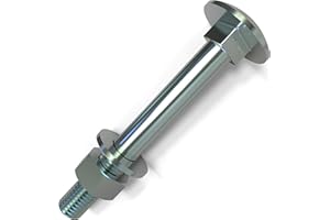 AUPROTEC 10 x Boulons M10 x 160 tête ronde collet carré Vis TRCC avec Écrou et Rondelle Longueurs 30-200mm choix: 10x M10x160