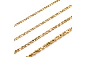 HSWYFCJY 2-4 MM Twist Rope Chain Stainless Steel Silver/Gold/Black Rolo Chains Necklace for Men Women Fashion Jewellery Birthday Gift Length of Chain 45/50/55/60/70 CM