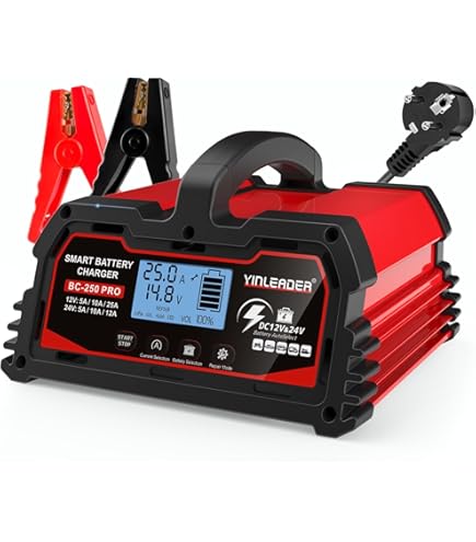 CARICABATTERIA SMART 10A 12/24V 4-240Ah LiFePO4 - Megastore