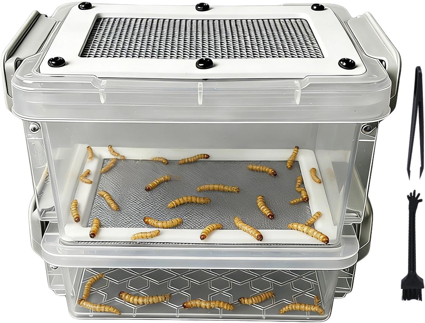 Contenedor Cría Lombrices De Harina – A Prueba De Olor con Pinzas Y Cepillo, Filtrante De Excrementos De Gusano De Seda, para Petauro del Azúcar, Pollo, Lagarto, Rana, Tortuga Y Aliment