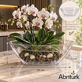 Pratik Dayanıklı Şık 3.8lt Tabaklı Şeffaf Oval Orkide Saksısı-Ev Balkon Gondol Saksı 36x16x13,5cm