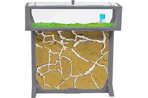 AntHouse - Fourmilière de Sable Naturel | T Set 3D Grand 25x20x1,5 cm Gris | Y Compris Les Fourmis