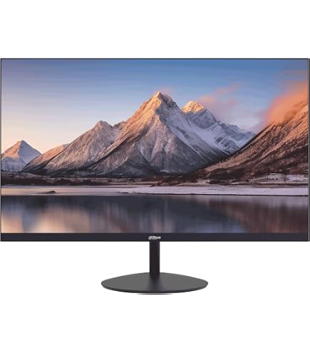 Dahua LM24-A200Y Monitor, 24