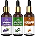 INTIMIFY Tea Tree, Sandalwood & Lavender Oil (Combo Pack of 3) 30 ml Each