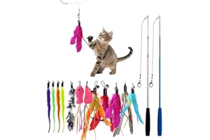Hixava Jouet à Plumes pour Chats 14 Pièces Jouet pour Chat Peche Chat Canne a Peche Jeu Interactif avec 2 Interactif Rétractable Canne 12 Plumes de Rechange