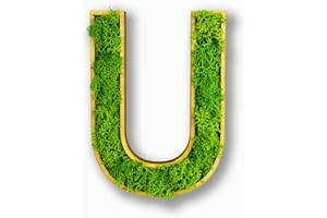 Acryltypo Moosly® Wooden Letter - U - with Wooden Frame, Moss Decorative Letters Sign Symbol Number - Wooden Letter with Real Iceland Moss - Wall Pictures Living Room Decoration Wall Pictures Living