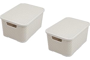 BranQ - Home essential Pack de 2 cestas de plástico PP crema 19L