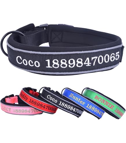 Gredstar Hundehalsband Personalisierbar – Reflektierend, Nylon, Mit Namensstickerei | Größen S, M, L, XL