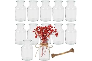 HAOYULUO 12 Stück Kleine Vasen,60ml Vasen Klein Tischdeko mit 10M Juteschnur,Glasvasen,Retro Design,geeignet für den Heimgebrauch,Hochzeitsdekoration,Geburtstag,Party