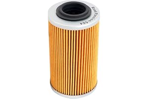 Road Passion Filtre à Huile pour CAN-AM SPYDER GS - SM5 998 2008-2009/SPYDER RS SE5 998,RST1000 FUTURA 998 2002 2004