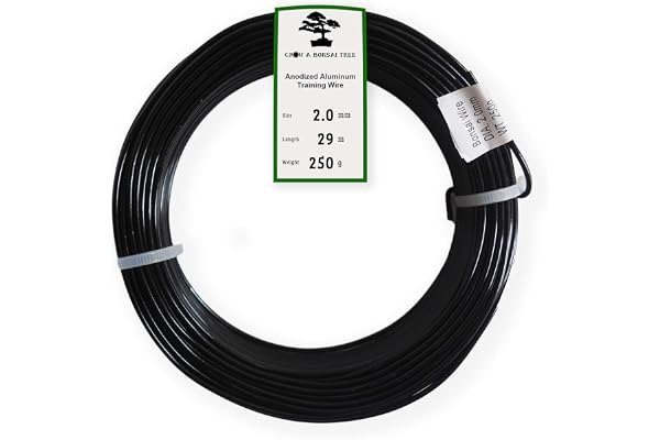 Grow A Bonsai Tree Fil Aluminium Anodisé de 2,0mm pour L'Entretien de Bonsai 250g Grand Rouleau (29 mètres) - Choisissez Votre Taille et Couleur (2,0mm, Noir)