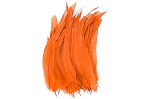 M METERXITY 20-Pack Piume Naturali di Coda di Gallo, 10-12 Pollici / 25-30cm di Lunghezza Piume di Coda di Gallo per Creazioni/Matrimoni/Acchiappasogni/Decorazioni Fai da Te [Arancione]