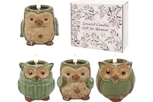 DONGZHI 4-Pack Scented Candles Gifts for Women, Owl & Penguin Christmas Candle Gift Set, Birthday Gifts for Women, Mother's Day, Wife & Best Friend (Classic)