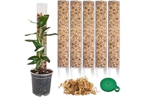 PlantScraper Moosstab für Monstera Rankhilfe Zimmerpflanzen Zubehör Set - 5 x Pflanzstäbe, Pflanzen Klettband & Moos - Optimiert für Aroiden - Kletterpflanzen Befestigung - 35 x 6 cm - Set