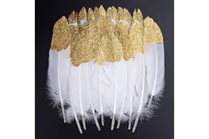 VIDILLO Plumes Colorées, 40pcs Or blanc trempé Plume Décoration, Idéal Pour Costumes, Chapeaux, Décoration d'intérieur Fete Mariage Anniversaire, Multicolore (Or)