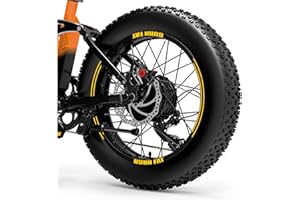 DualColorStampe Adesivi Cerchi Bici FAT BIKE 20'' Pollici Ruota Bici accessori Fat bike MTB Stickers Cerchi BURN FAT - B0085 (Giallo 21)