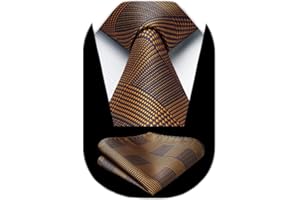 HISDERN Cravate Homme Plaid Mariage Élégant Cravates et Pochette Classique Ensemble de Cravate Mouchoir à Motif Pied-de-poule d'affaires