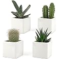 Yardwe Vaso Sospeso In Ceramica Forma Di Bradipo – Fioriera Per Piante Grasse E Bonsai, Decorazione Originale Per Casa E Giardino