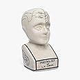 ACL Phrenology Head – Ceramic Ornament Collectable Retro Bust - Glaze finish – Doctor’s desk – LN Fowler –Fortune Telling Statue - Brain senses 28CMs - White