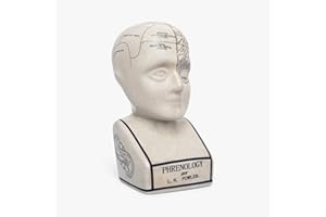 ACL Phrenology Head – keramisk prydnad samlarobjekt retro byst – glasyrfinish – läkarskrivbord – LN Fowler – spåminnelse staty – hjärnkänslor 28 cm –