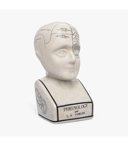 Tête De Phrénologie - Statue En Porcelaine - Porcelaine - Hauteur 30 Cm