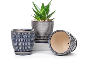 OAIRSE 10cm Ensemble de 3 Pots de Plantes en Céramique Petits Pots de Fleurs Ronds avec Trou de Drainage et Soucoupe pour Cactus Succulent, pour Intérieur Extérieur Jardin Maison Rebord de Fenêtre