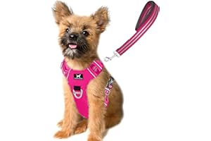 TUFFDOG Easy-Fit Dog Harness Small Dog - Fast Release Neck Clip, Premium Padded Reflective No Pull Harness with Control Handle, Adjustable Step-in Dog Vest Plus Free Matching Lead (S, Hot Pink)