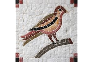 MOSAIKIT Kit mosaiques naturelles complet - Oiseau GEANT