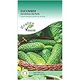 Mini Snack Cucumber Seeds Gherkin Cornichon de Paris Cucumis Sativus 50 Seeds Grow Your Own Vegetables Perfect for Greenhouse or Outdoor Growing