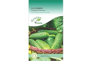 KRAIDO SEEDS Mini Snack Cucumber Seeds Gherkin Cornichon de Paris Cucumis Sativus 50 Seeds Grow Your Own Vegetables Perfect for Greenhouse or Outdoor Growing