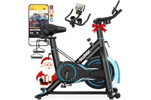 SLUNSE Exercise Bike for Home Use, Adjustable Magnetic Resistance Spin bike with Smart APP, Home Gym Equipment Stationary Bike with Dumbbell Rack, Pull Cord, Large Non-slip Mat, 180KG Weight Capacity