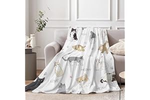 Lingqiang Katze Kinder Decke, 130 x 150 cm Flauschig Fleece Weiß Katze Kuscheldecke für Mädchen, Weich Weiss Kätzchen Flanell Wohndecke für Kleinkind Teenager Geburtstag Geschenke Sofa Couch Deko