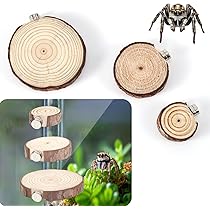 Spider Hide Magnet Versteck - Holz Habitat Für Springspinnen