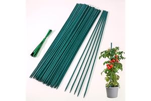 GUKULIVEL 50 Pack Plant Support Sticks 60cm – Bamboo Sticks for Plants with 50 Twist Ties, Green Plant Stakes Garden canes, Durable Plant Sticks for Flowers Floral Plant