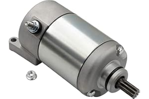 Road Passion Démarreur pour YFM350 Grizzly IRS 4x4 Auto 2007-2012,YFM350FA Bruin Auto 4x4 2004 2005 2006,12V/+,3HE-81890-00-00 3HE818900000 3HW-81800-00