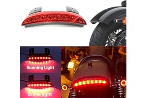 DREAMIZER Motocicleta Luz trasera interrumpida guardabarros trasero borde 8 LED freno de la matrícula Stop luz para Sportster XL883 N 1200 N XL1200 V XL1200 X