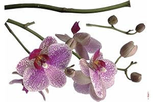 ‎KOMAR Komar - Deco-Sticker ORCHIDEE - 100 x 70 cm - Wandtattoo, Wandbild, Wandsticker, Wandaufkleber, Walltattoo, Blumen, Blüten, Natur, Blütenknospe, Pflanze -17702h, Lila/weiß/Grün