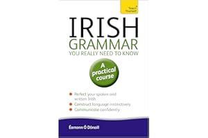 Irish Grammar You Really Need to Know: Teach Yourself